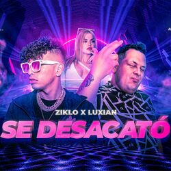 Cover of Se Desacató