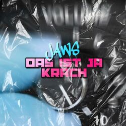 Cover of Das ist ja Krach
