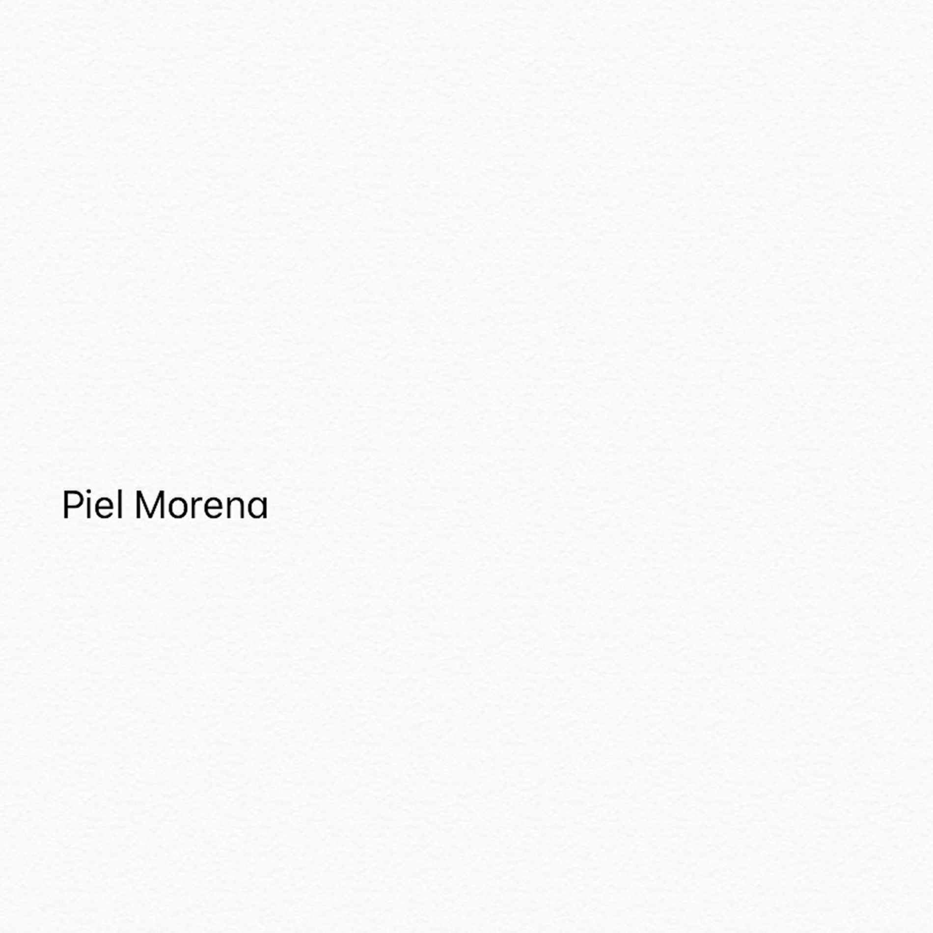 Album cover of Piel Morena