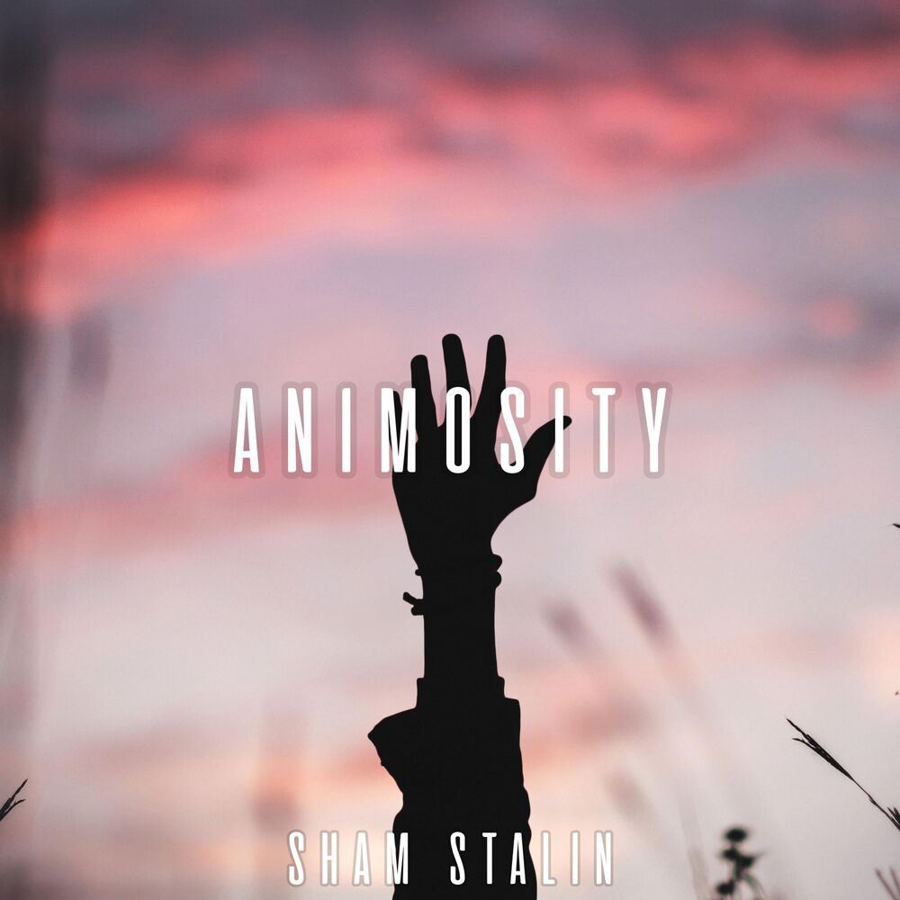 Picture of Animosity