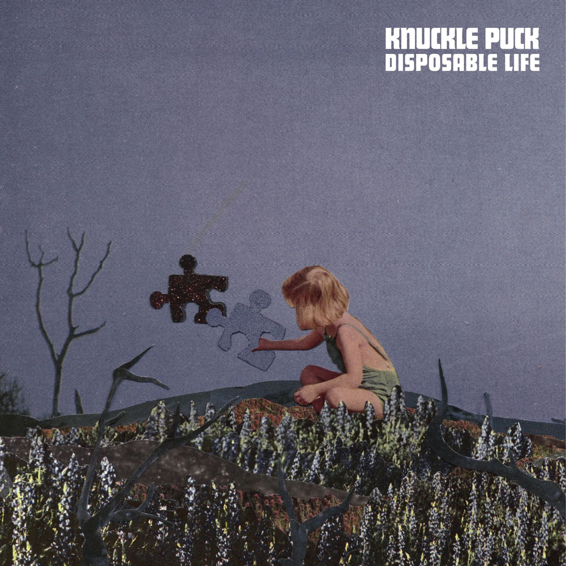 Album cover of Disposable Life