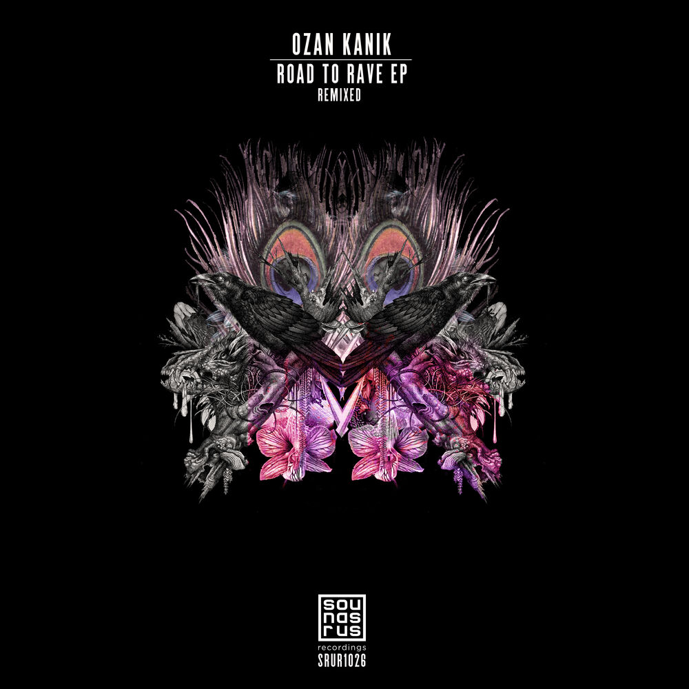 Picture of Road To Rave EP "Remixed"