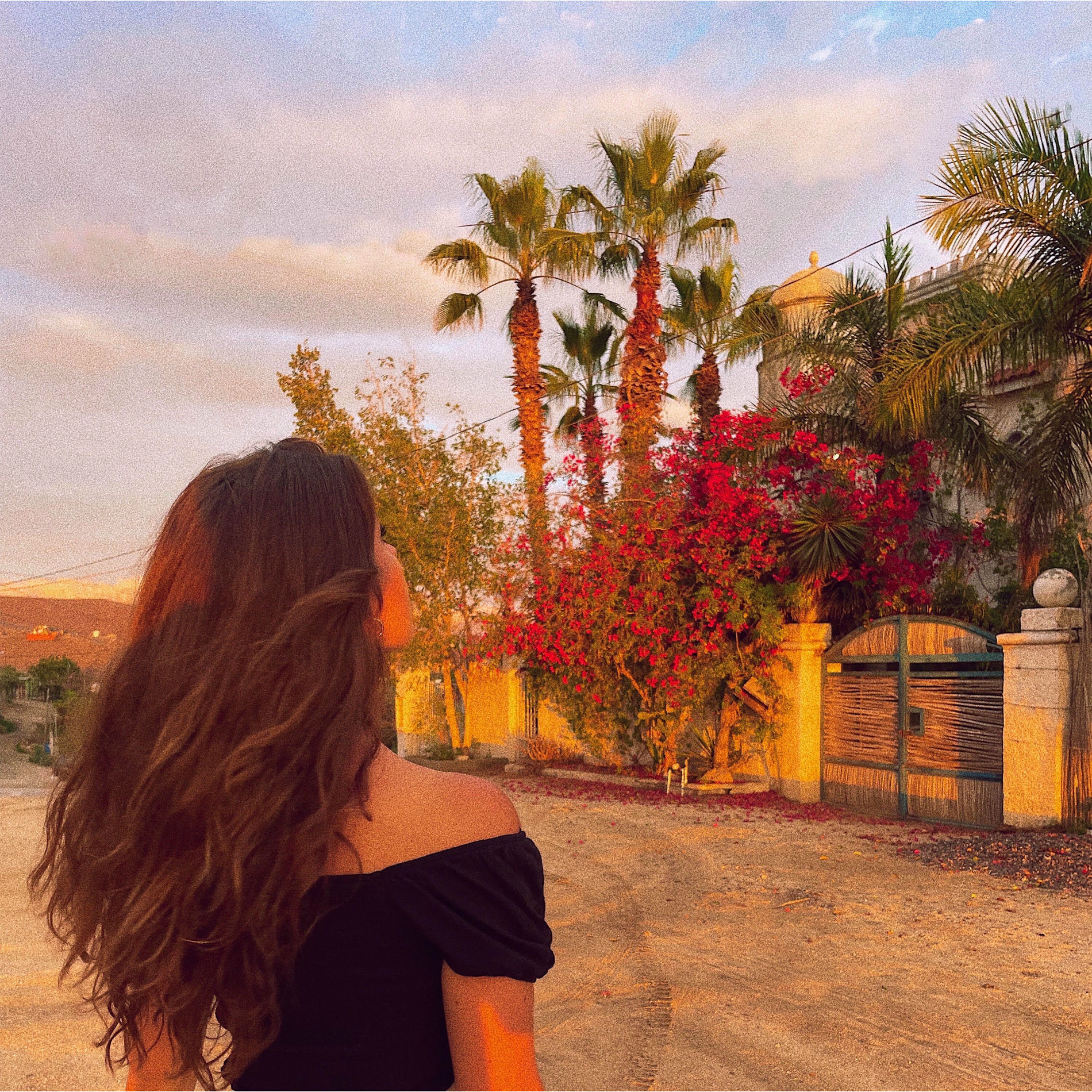 Album cover of Acapulco