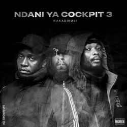 Cover of NDANI YA COCKPIT 3