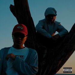 Cover of SAIKAI