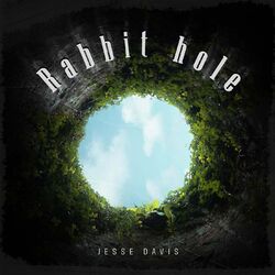 Cover of Rabbit Hole