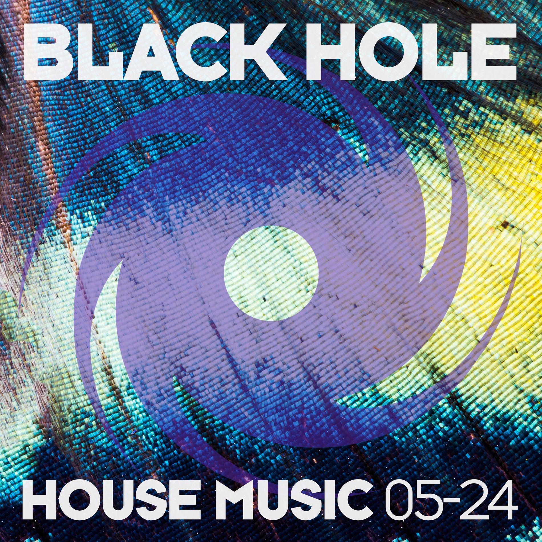 Album cover of Black Hole House Music 05-24