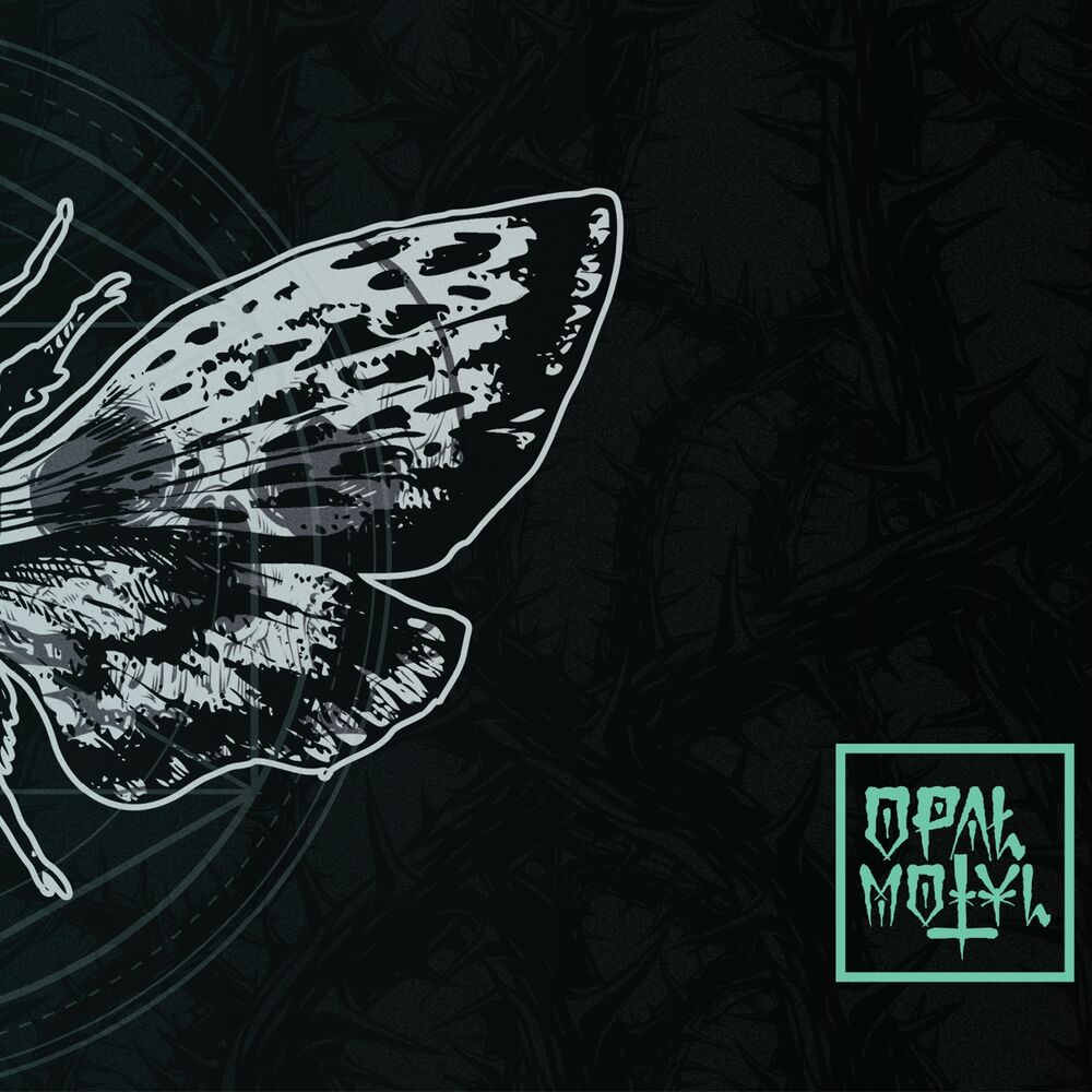 Picture of Motyl