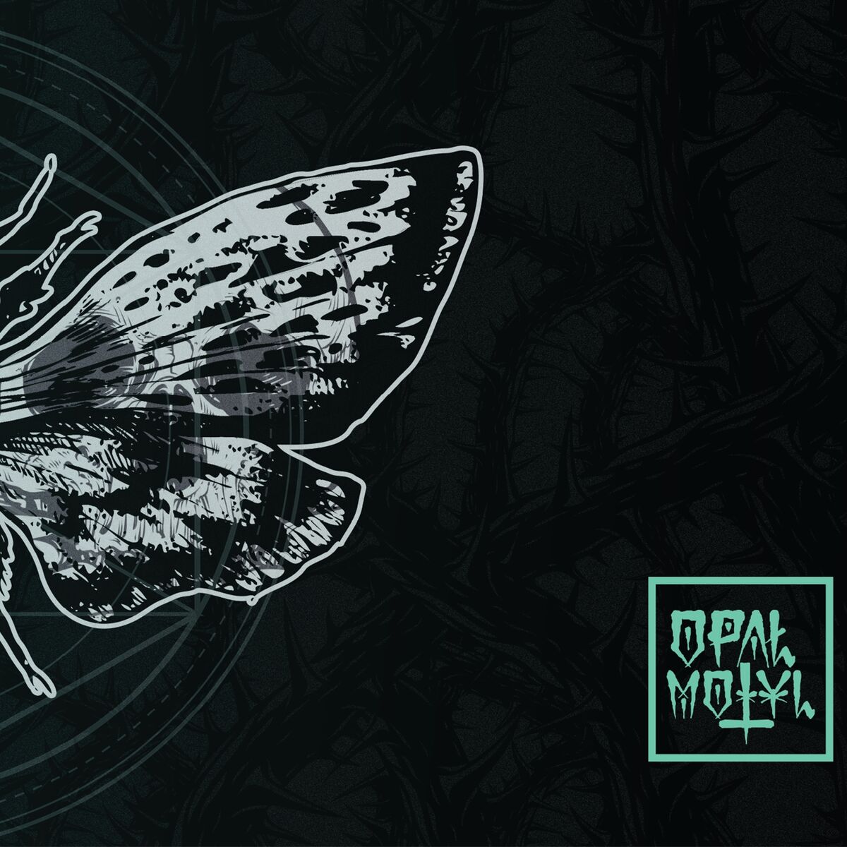 Album cover of Motyl