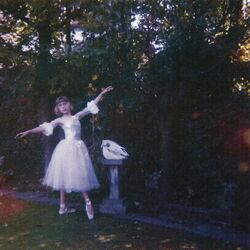 Cover of Visions Of A Life