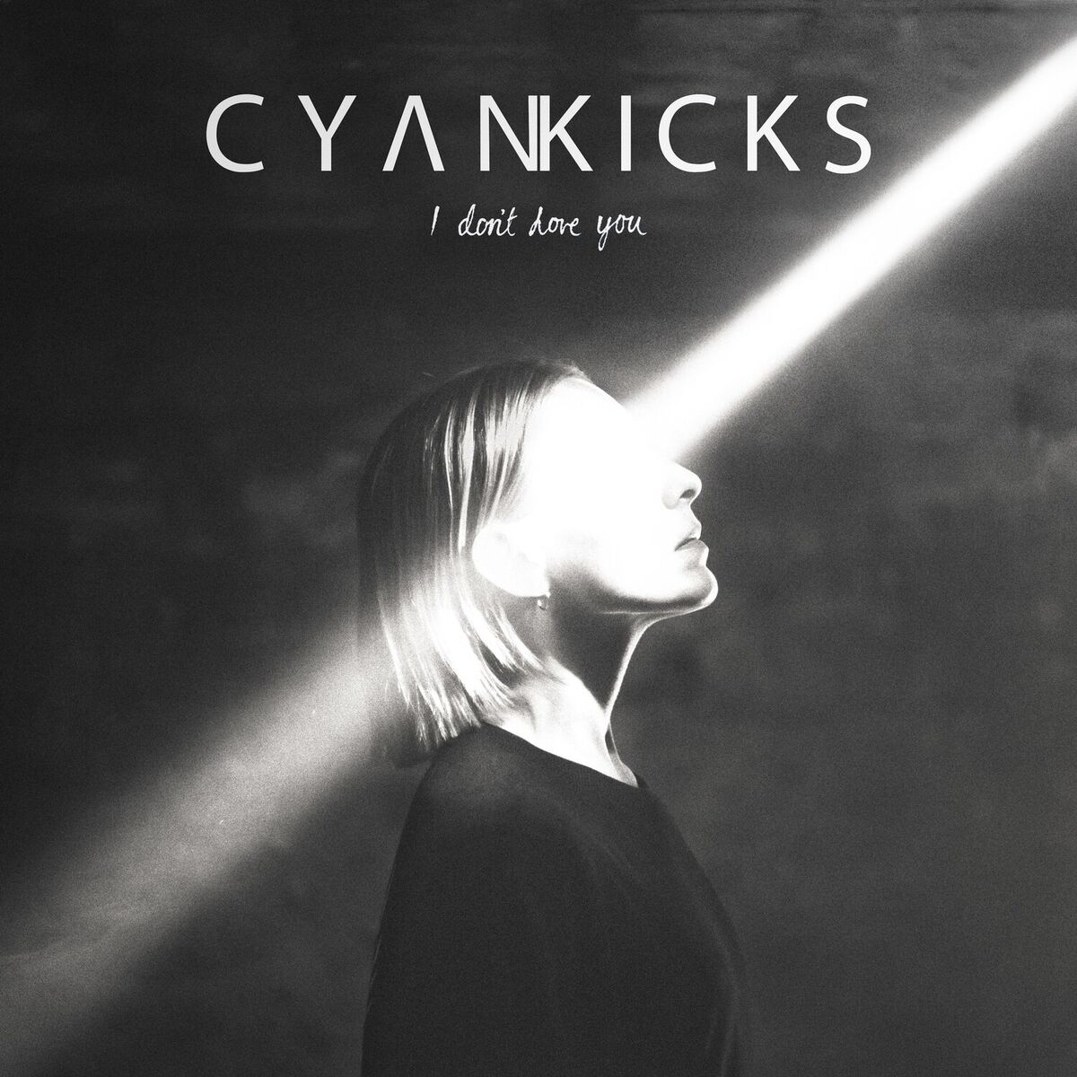 Album cover of I Don't Love You