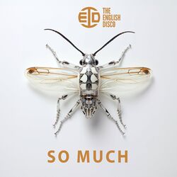 Cover of So Much