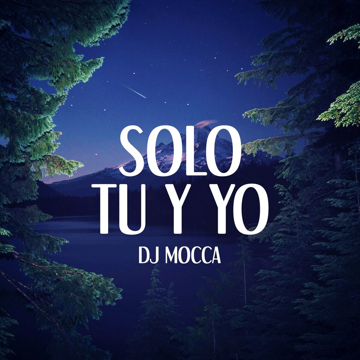 Album cover of Solo Tu y Yo (Remix)