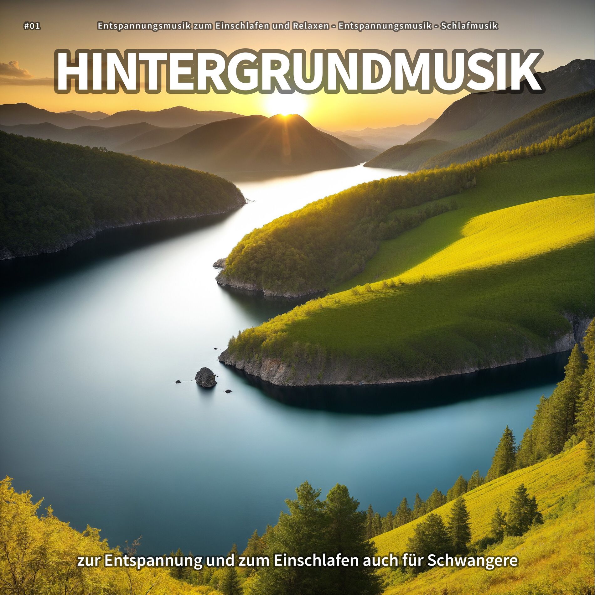 Album cover of #01 Hintergrundmusik zur Entspannung und zum Einschlafen auch für Schwangere