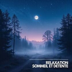 Cover of La Sérénité Nocturne pour un Sommeil Réparateur