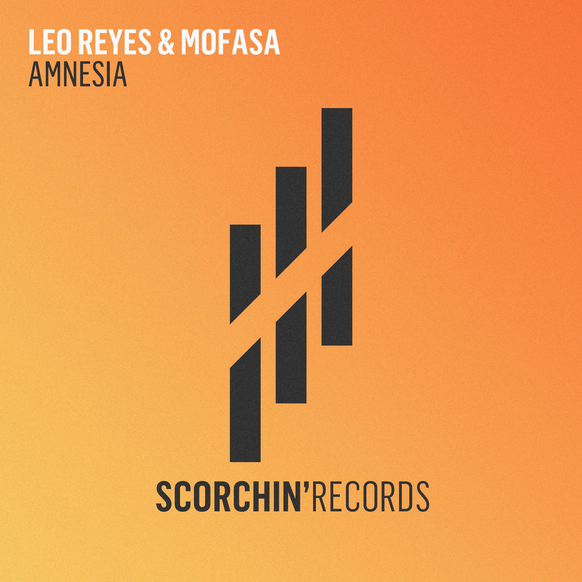 Album cover of Amnesia