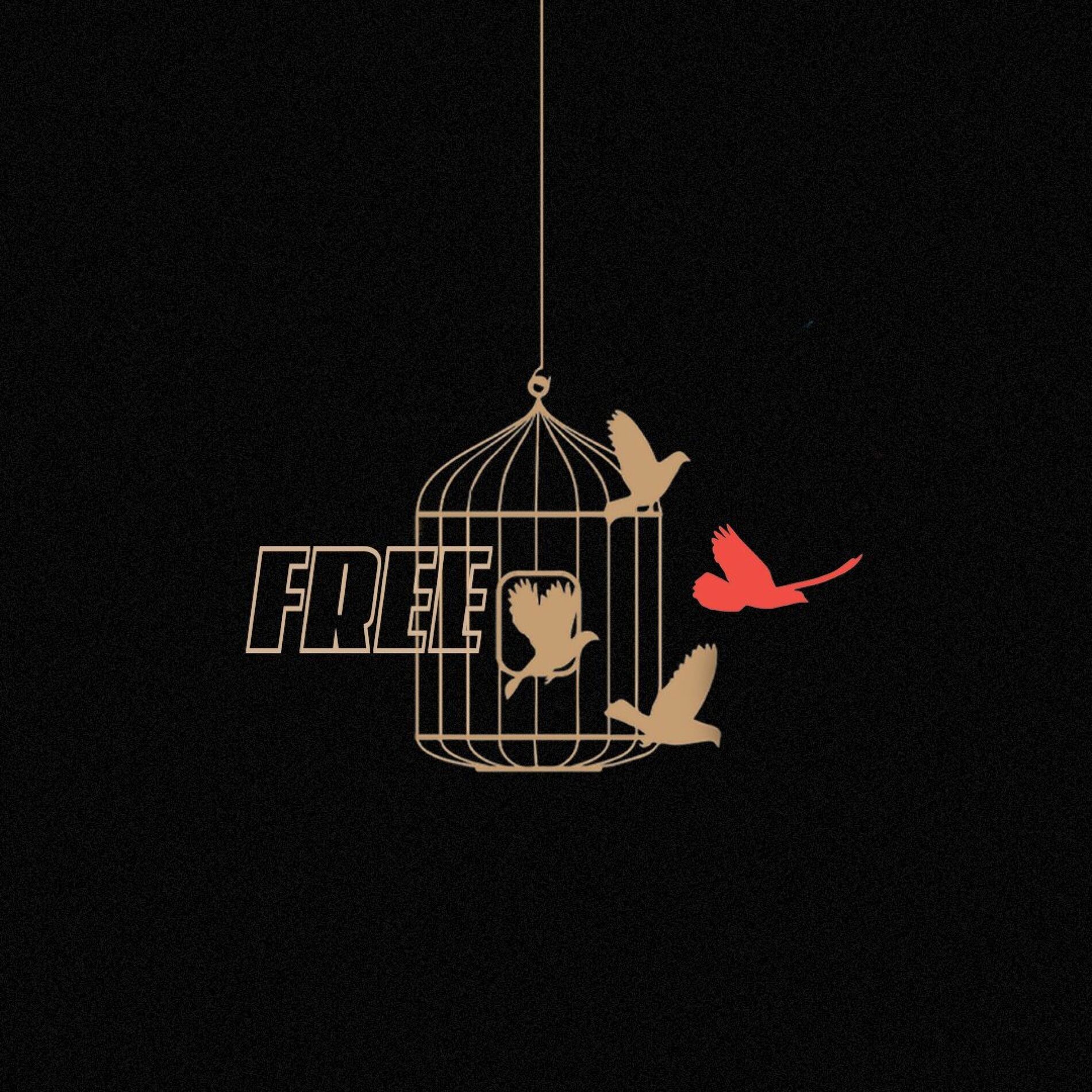 Album cover of Free