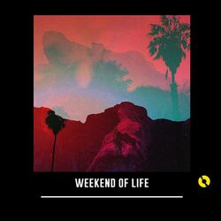 Cover of Weekend of Life