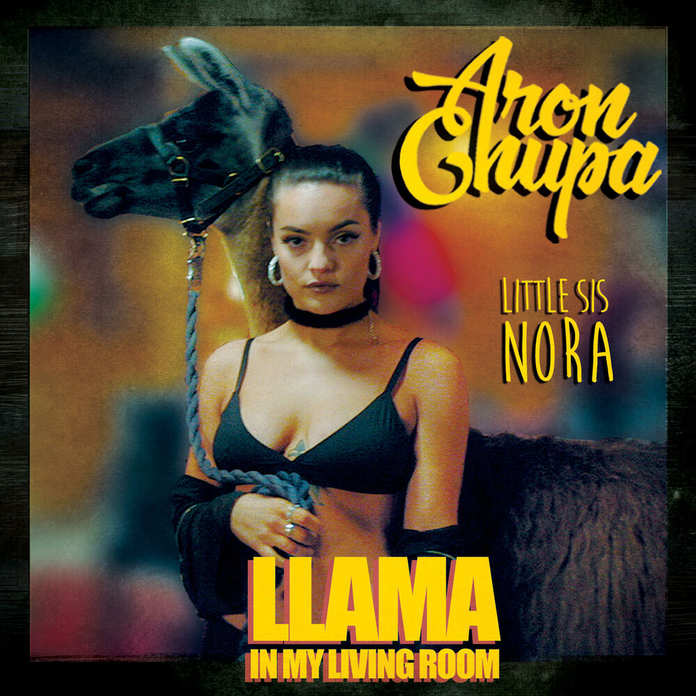 Picture of Llama In My Living Room