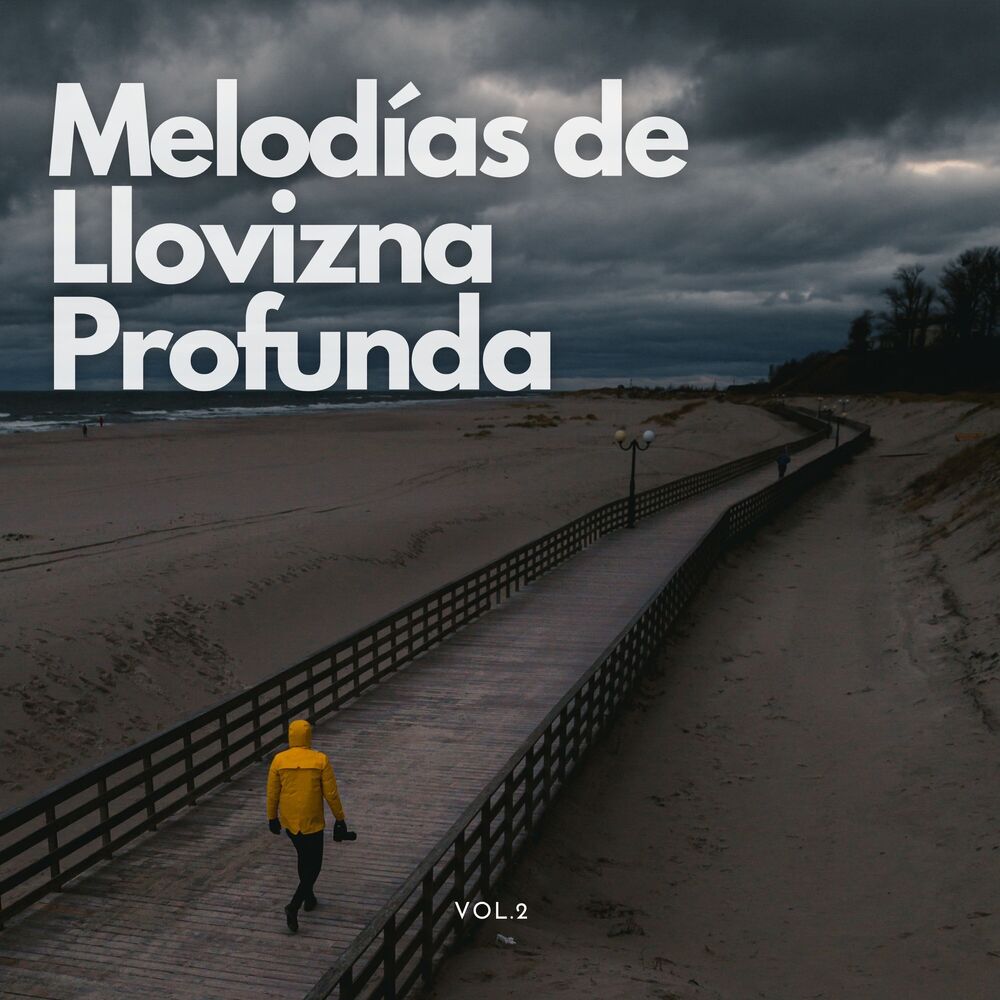 Picture of Melodías De Llovizna Profunda Vol. 2