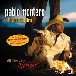 Cover of Mi Tesoro Norteño