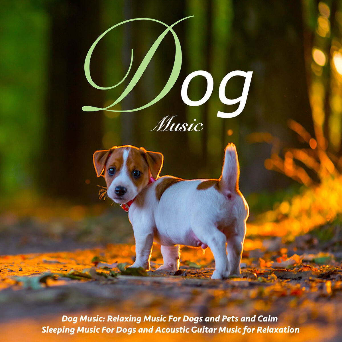 Album cover of Music for Dogs (Relaxing Music)