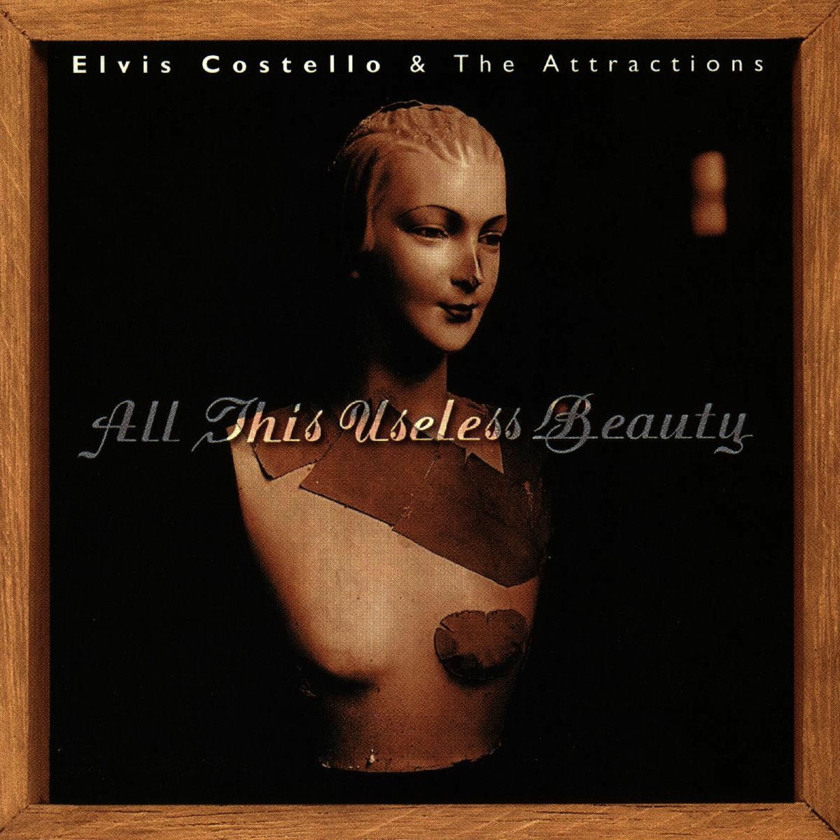 Album cover of All This Useless Beauty
