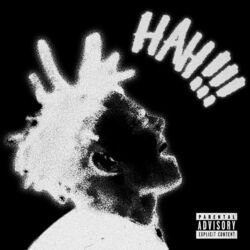 Cover of Hah !!!