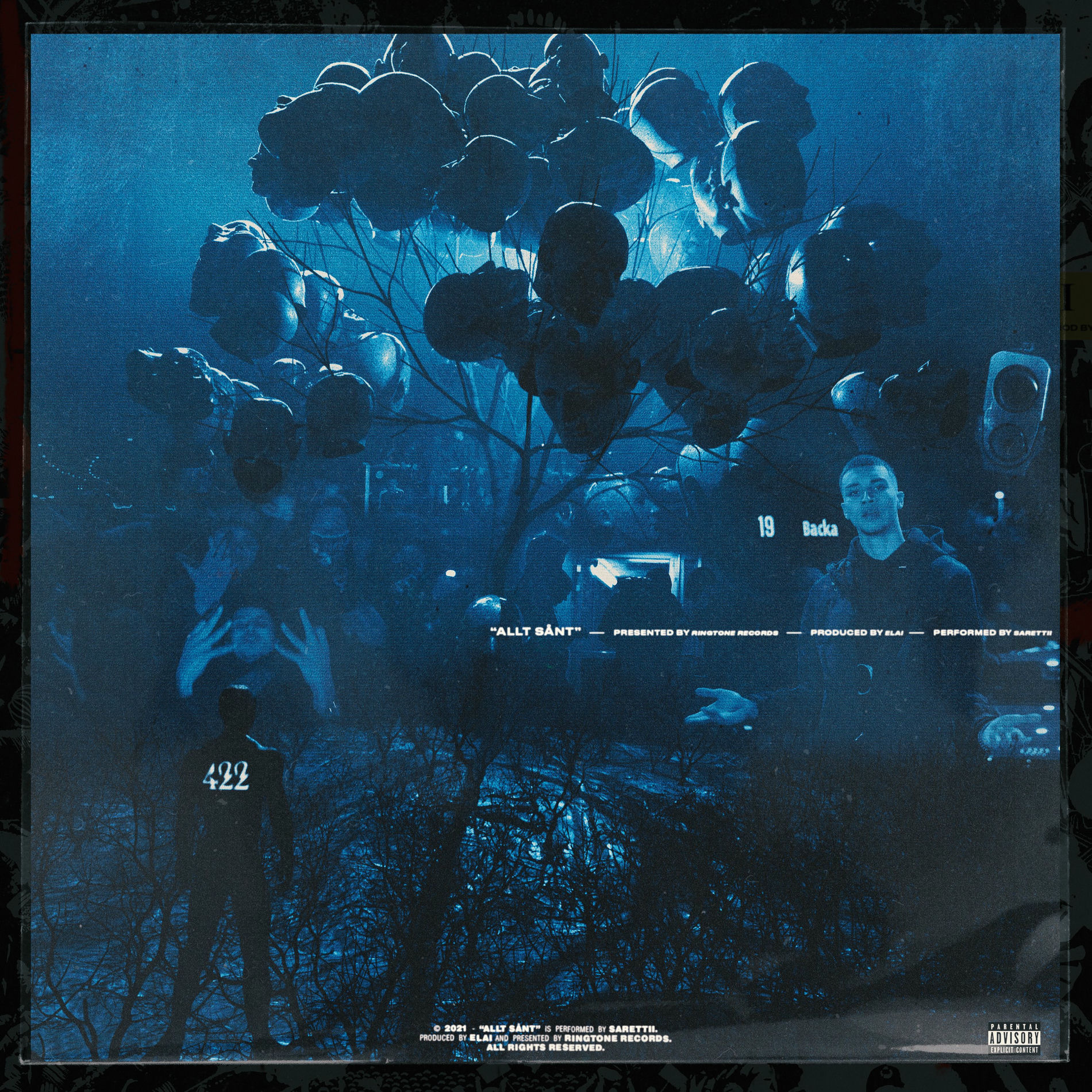Album cover of ALLT SÅNT
