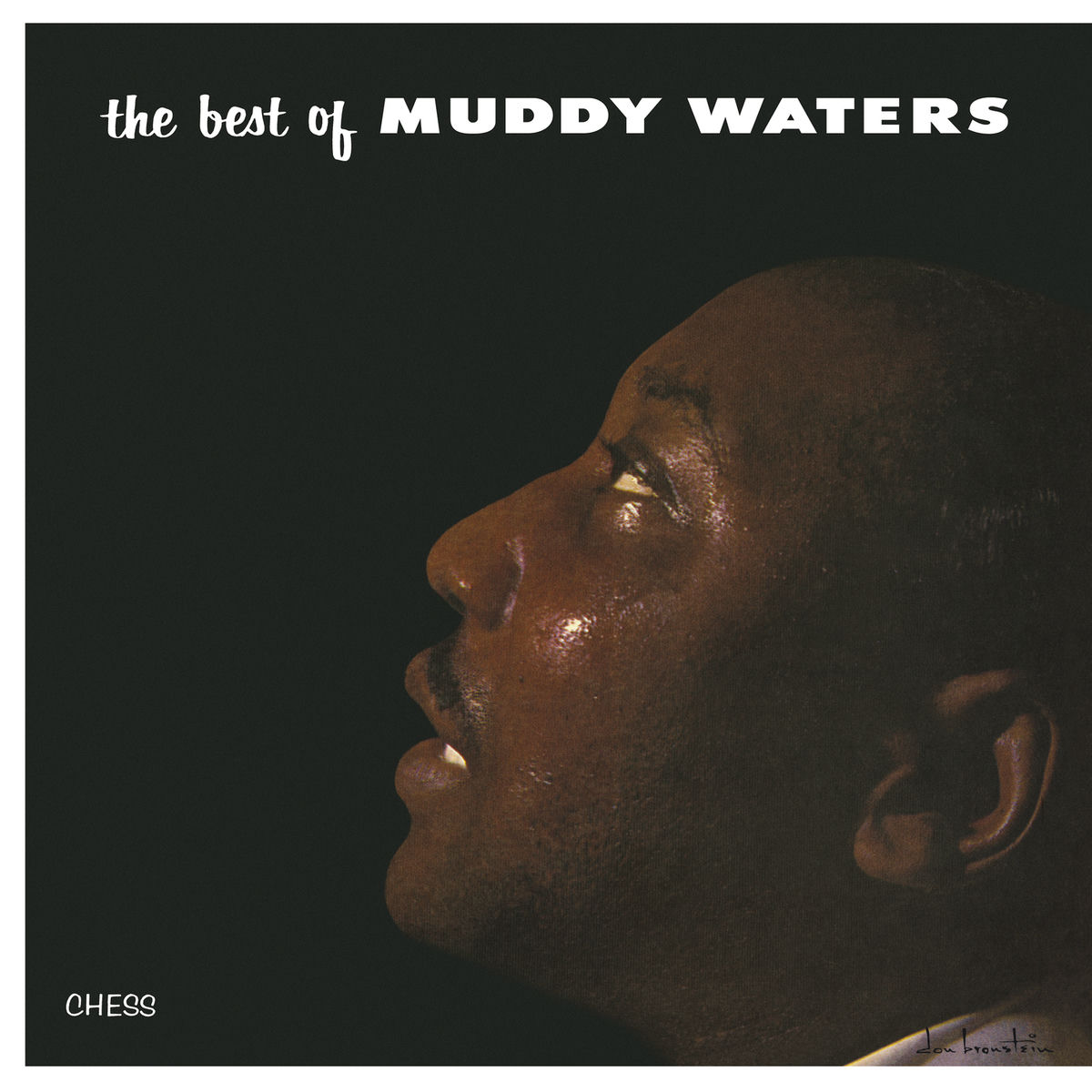 Album cover of The Best Of Muddy Waters
