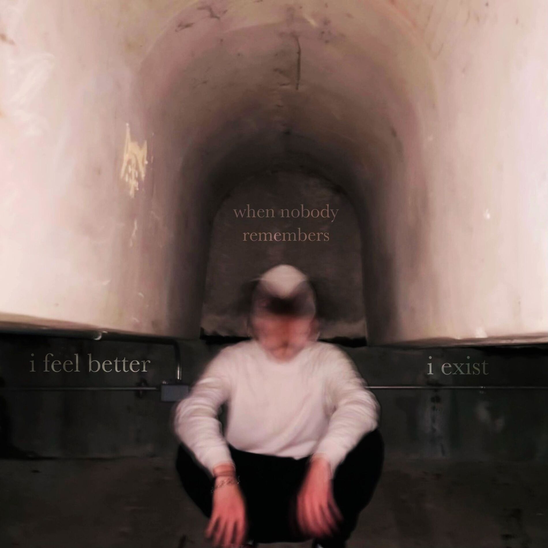 Album cover of i feel better when nobody remembers i exist