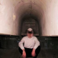 Cover of i feel better when nobody remembers i exist