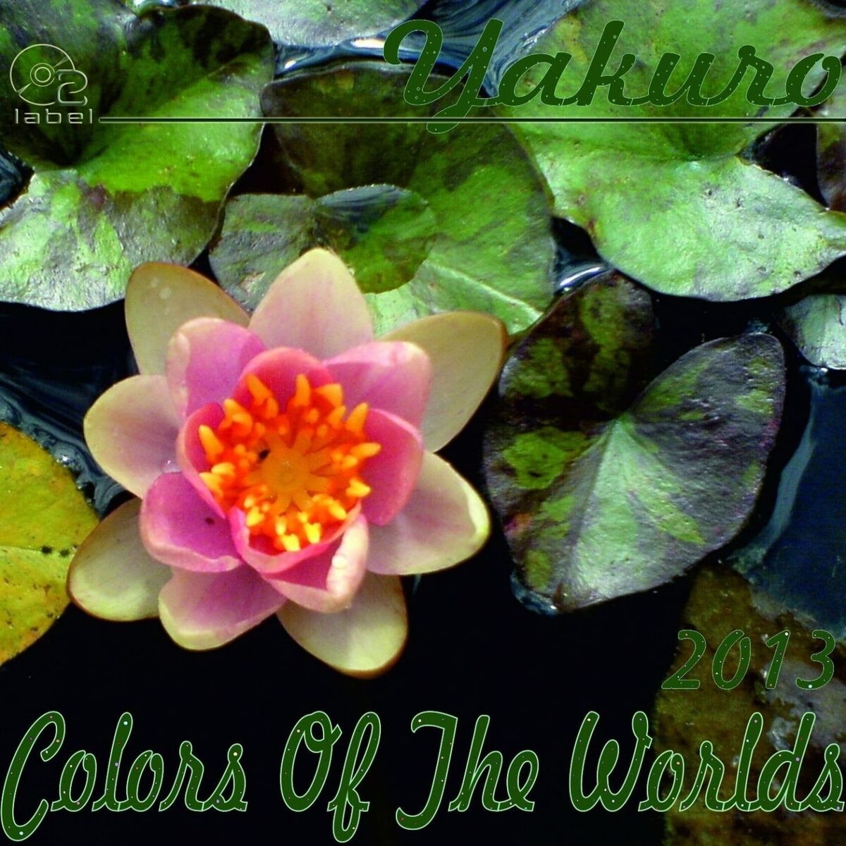 Album cover of White... The Color of Time