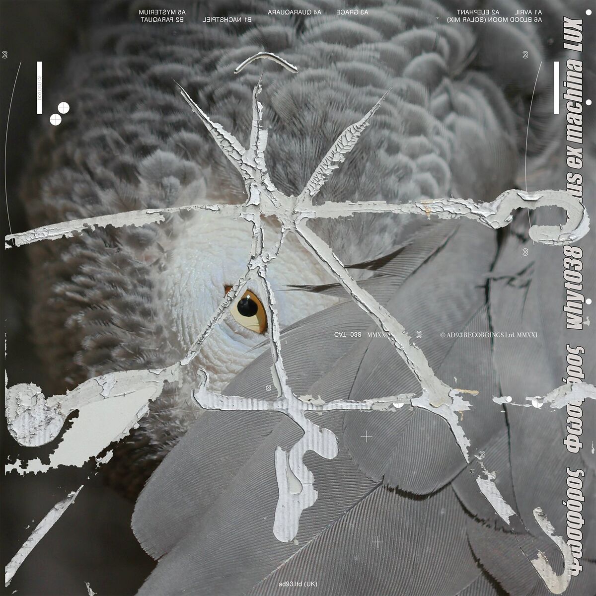 Album cover of Avril