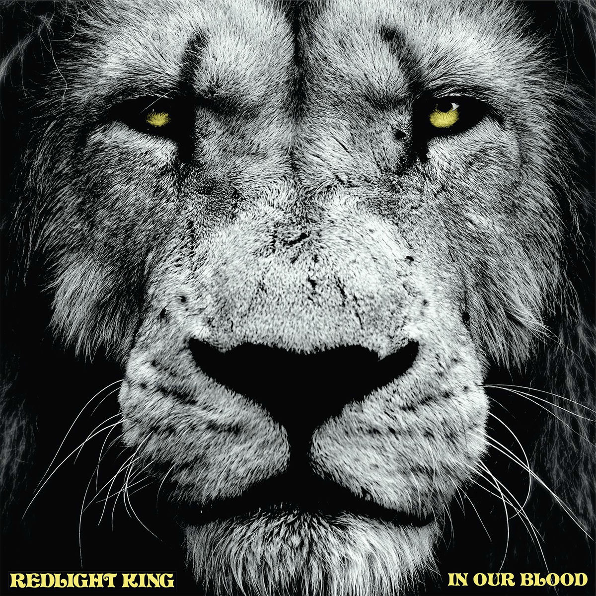Album cover of End of a Shotgun