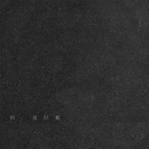 妈,我好累 (说唱版)