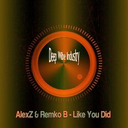 Cover of Like You Did
