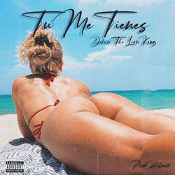 Cover of Tu Me Tienes by undefined
