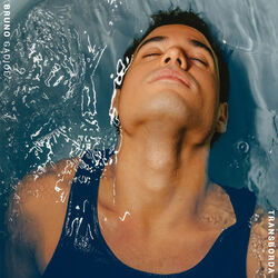 Cover of Transborda