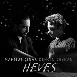 Cover of Heves