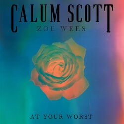 Cover of At Your Worst
