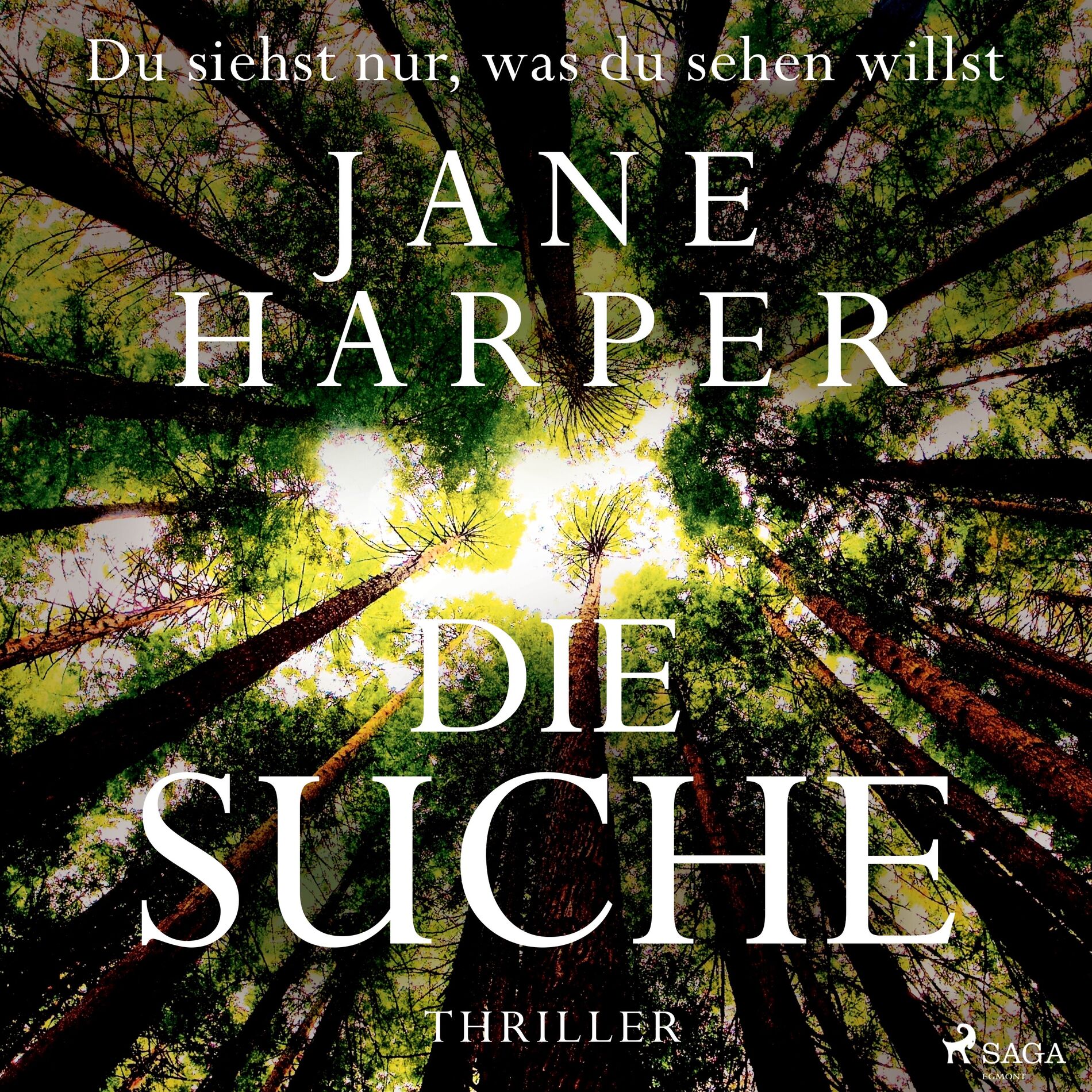 Album cover of Die Suche