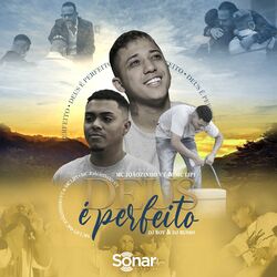 Cover of Deus é Perfeito