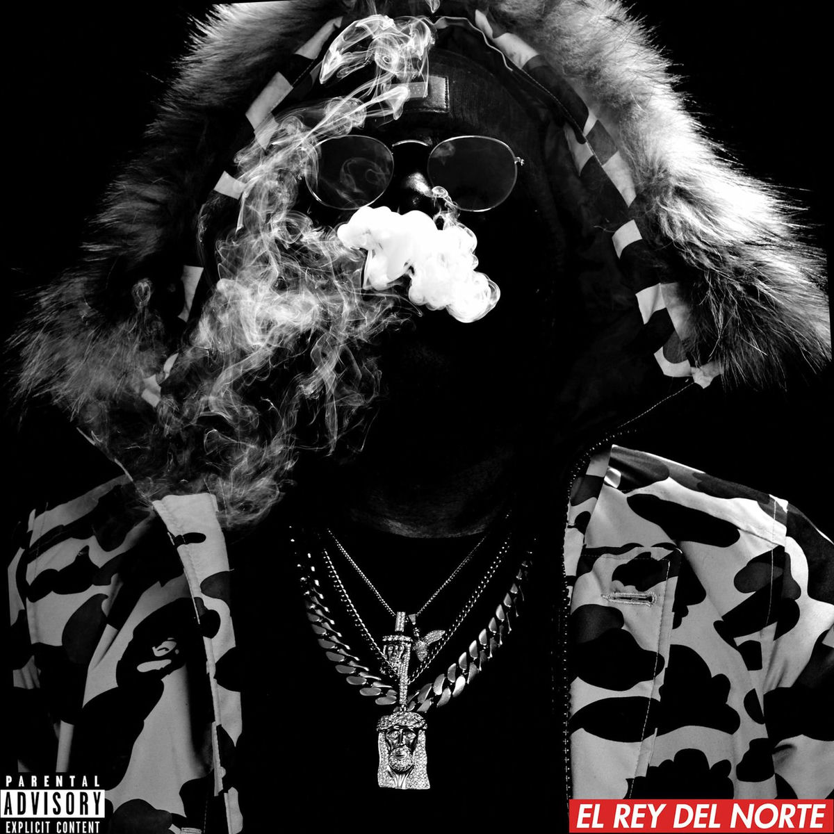Album cover of El Rey Del Norte