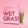 Wet Grass