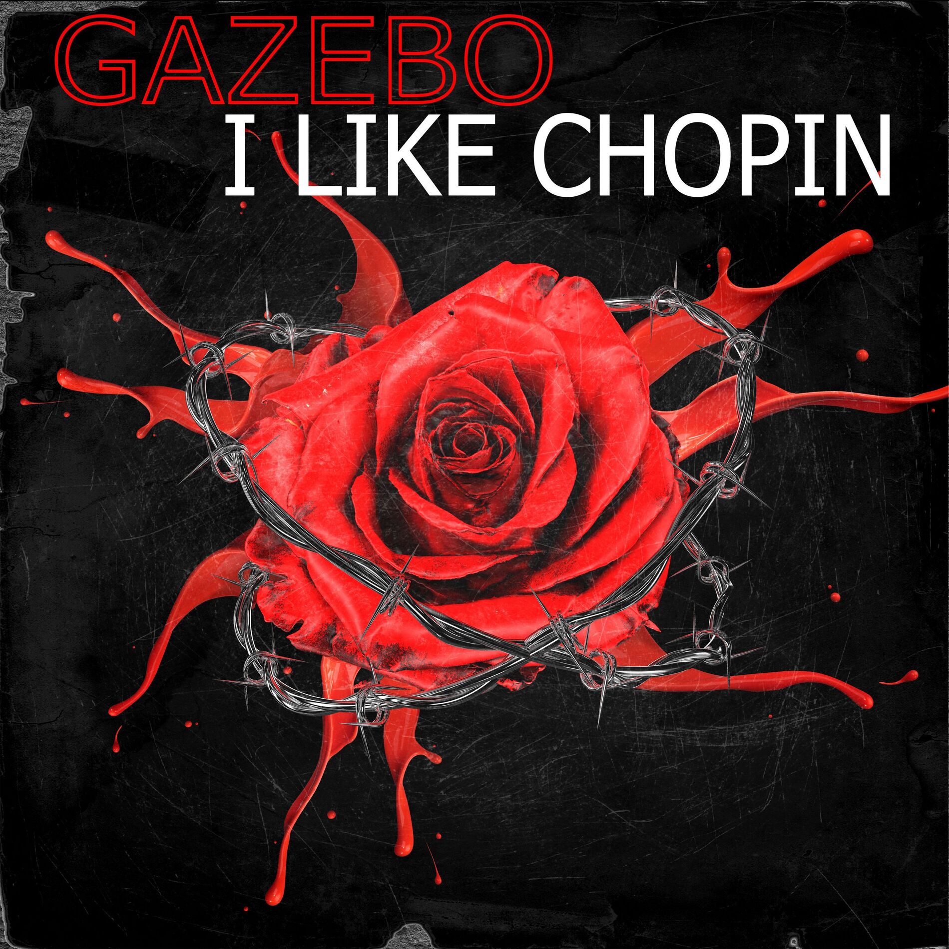 Album cover of I Like Chopin