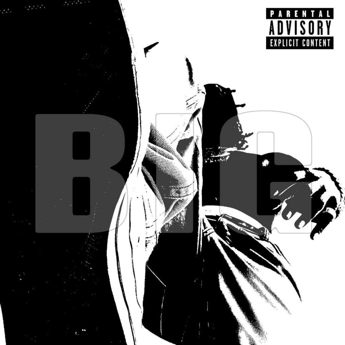 Album cover of BIG