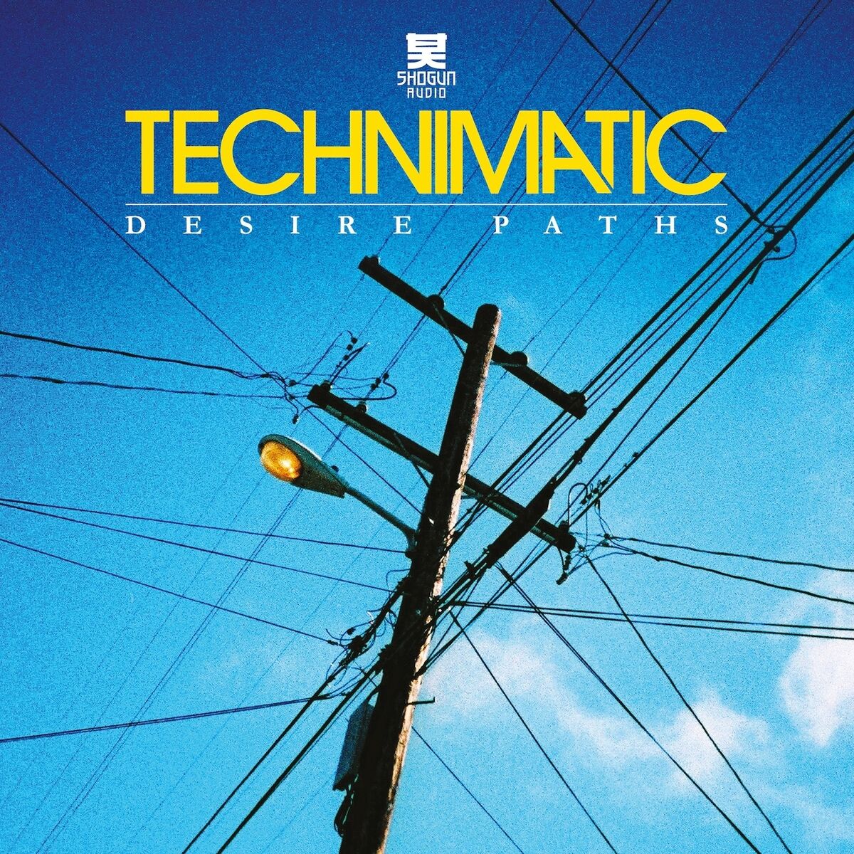 Album cover of Looking for Diversion