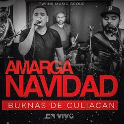 Cover of Amarga Navidad
