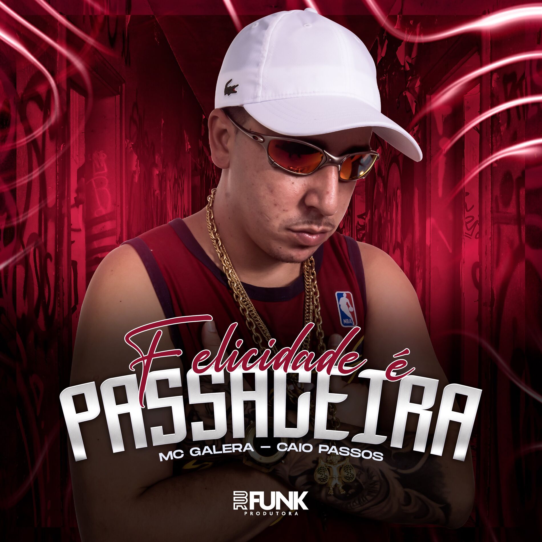 Album cover of Felicidade é Passageira